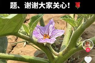 机器般稳定！莱昂纳德16中9贡献27分8板2助1断1帽 关键前板定胜局